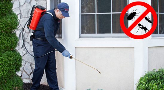Etimesgut Hamam Böceği İlaçlama böcek ilaçlama ve haşere kontrolü — ilaclama-tr.com